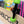 Load image into Gallery viewer, Micro-Cone Skateboard