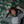 Load image into Gallery viewer, ALL OF THIS MATTERS CROPPED HOODIE (WOMEN'S)